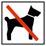 domáce zvieratá nie sú povolené